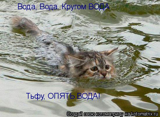 Котоматрица: Вода, Вода. Кругом ВОДА Тьфу, ОПЯТЬ ВОДА!
