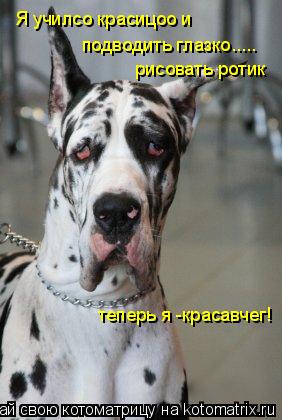 Котоматрица: Я училсо красицоо и  подводить глазко..... рисовать ротик теперь я -красавчег!