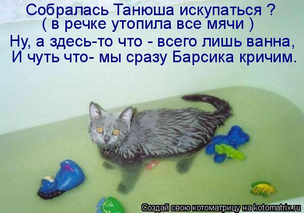Котоматрица: Собралась Танюша искупаться ?  ( в речке утопила все мячи ) И чуть что- мы сразу Барсика кричим. Ну, а здесь-то что - всего лишь ванна,