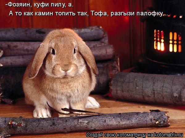 -Фозяин, куфи пилу, а. А то как камин топить так, Тофа, разгызи палофку...... Котоматрица: -Фозяин, куфи пилу, а. А то как камин топить так, Тофа, разгызи палофку...
