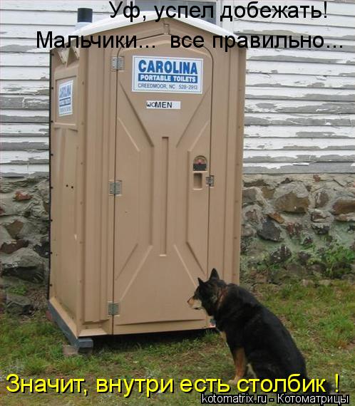 Мальчики... все правильно... Значит, внутри есть столбик ! Уф, успел добежать!... Котоматрица: Мальчики... все правильно... Значит, внутри есть столбик ! Уф, успел добежать!