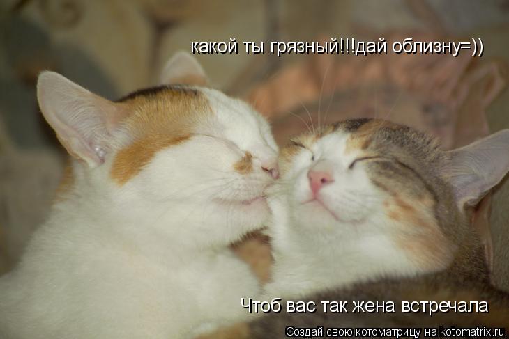 Котоматрица: какой ты грязный!!!дай облизну=))  Чтоб вас так жена встречала