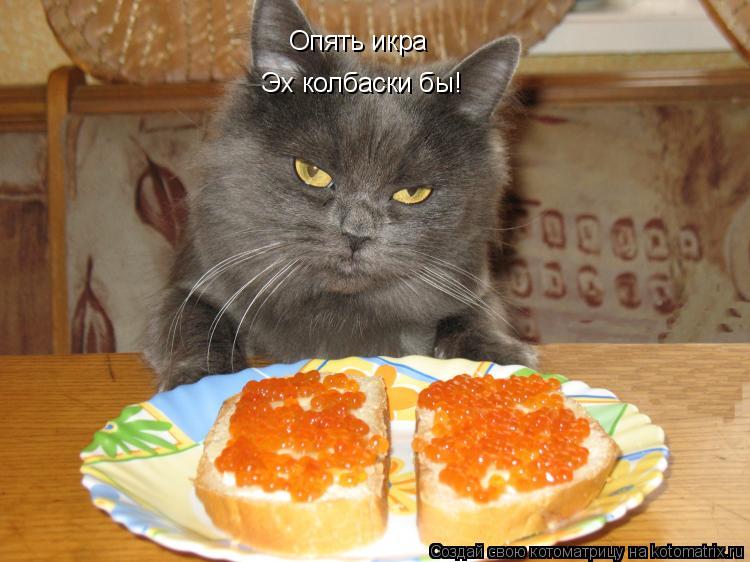 Котоматрица: Опять икра Эх колбаски бы!