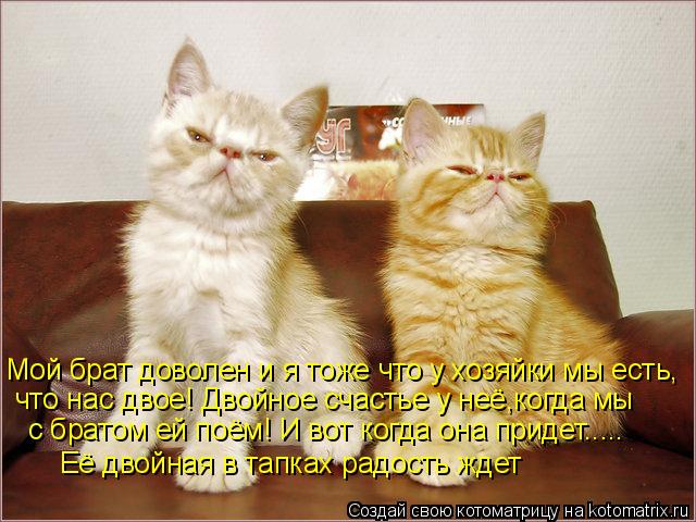 Мой брат доволен и я тоже что у хозяйки мы есть, что нас двое! Двойное счастье у неё,когда мы с брат... Котоматрица: Мой брат доволен и я тоже что у хозяйки мы есть, что нас двое! Двойное счастье у неё,когда мы с братом ей поём! И вот когда она придет..... Её дво