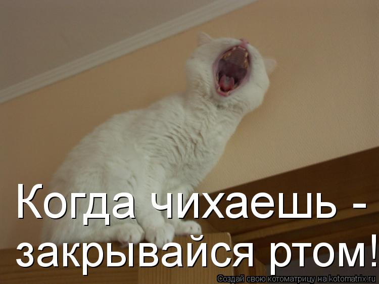 Котоматрица: Когда чихаешь -   закрывайся ртом!