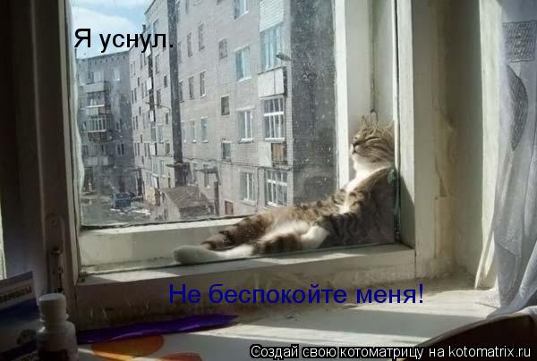Котоматрица: Я уснул. Не беспокойте меня!