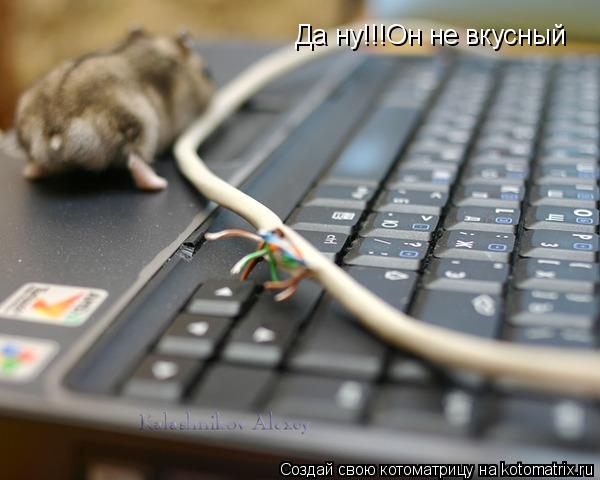 Котоматрица: Да ну!!!Он не вкусный Да ну!!!