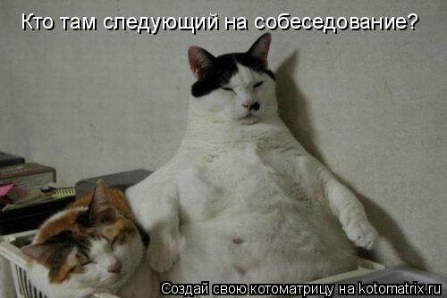 Кто там следующий на собеседование?... Котоматрица: Кто там следующий на собеседование?