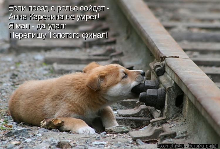 Если поезд с рельс сойдет - Анна Каренина не умрет! Я мал - да удал: Перепишу Толстого финал!... Котоматрица: Если поезд с рельс сойдет - Анна Каренина не умрет! Я мал - да удал: Перепишу Толстого финал!