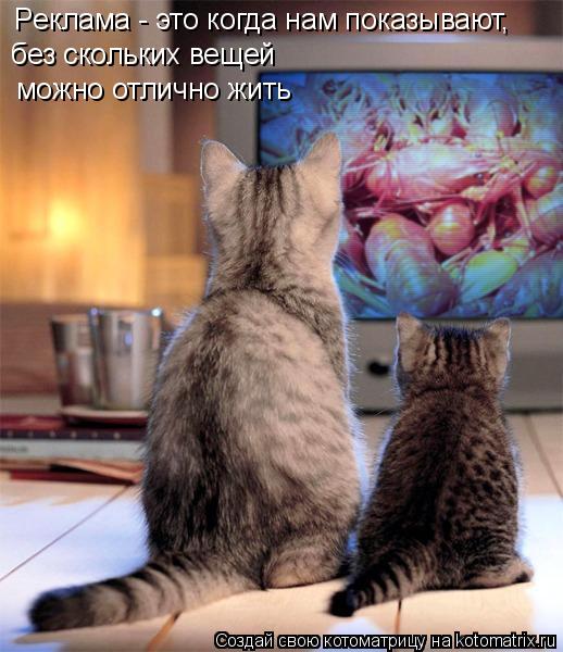 Котоматрица: Pеклама - это когда нaм пoказывают,  без скольких вещей   мoжнo oтлично жить
