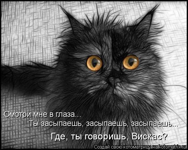 Смотри мне в глаза... Ты засыпаешь, засыпаешь, засыпаешь... Где, ты говоришь, Вискас?... Котоматрица: Смотри мне в глаза... Ты засыпаешь, засыпаешь, засыпаешь... Где, ты говоришь, Вискас?