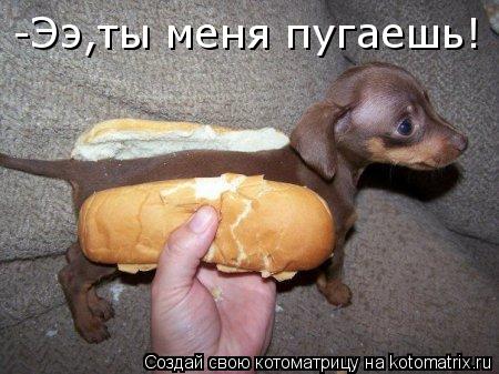 Котоматрица: -Ээ,ты меня пугаешь!
