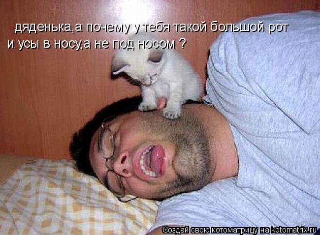 Котоматрица: дяденька,а почему у тебя такой большой рот  и усы в носу,а не под носом ?