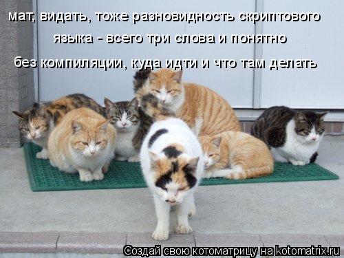 мат, видать, тоже разновидность скриптового языка - всего три слова и понятно без компиляции, куда ид... Котоматрица: мат, видать, тоже разновидность скриптового языка - всего три слова и понятно без компиляции, куда идти и что там делать