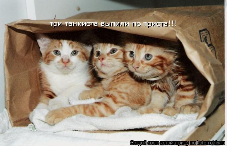 три танкиста выпили по триста!!!... Котоматрица: три танкиста выпили по триста!!!