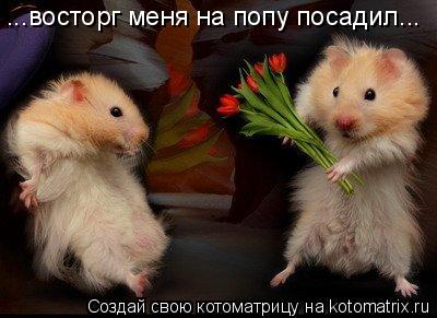 Котоматрица: ...восторг меня на попу посадил...