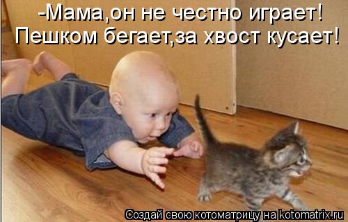Котоматрица: -Мама,он не честно играет! Пешком бегает,за хвост кусает!