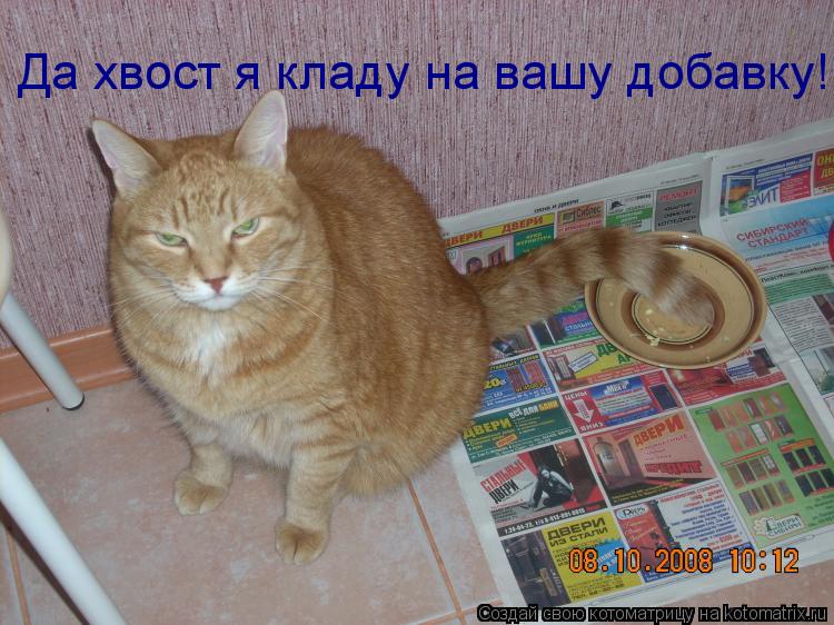 Котоматрица: Да хвост я кладу на вашу добавку!