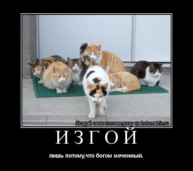 Котоматрица: Изгой лишь потому,что богом меченный.