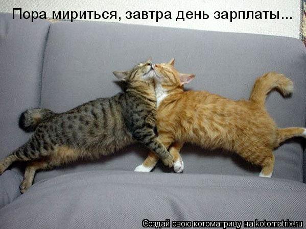 Пора мириться, завтра день зарплаты...... Котоматрица: Пора мириться, завтра день зарплаты...