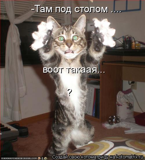 -Там под столом .... воот такаая... ?... Котоматрица: -Там под столом .... воот такаая... ?