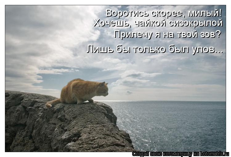 Воротись скорее, милый! Хочешь, чайкой сизокрылой Прилечу я на твой зов? Лишь бы только был улов...... Котоматрица: Воротись скорее, милый! Хочешь, чайкой сизокрылой Прилечу я на твой зов? Лишь бы только был улов...