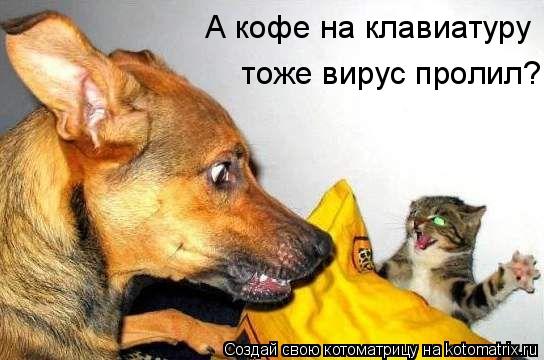 Котоматрица: А кофе на клавиатypy   тоже виpyс пpолил?!