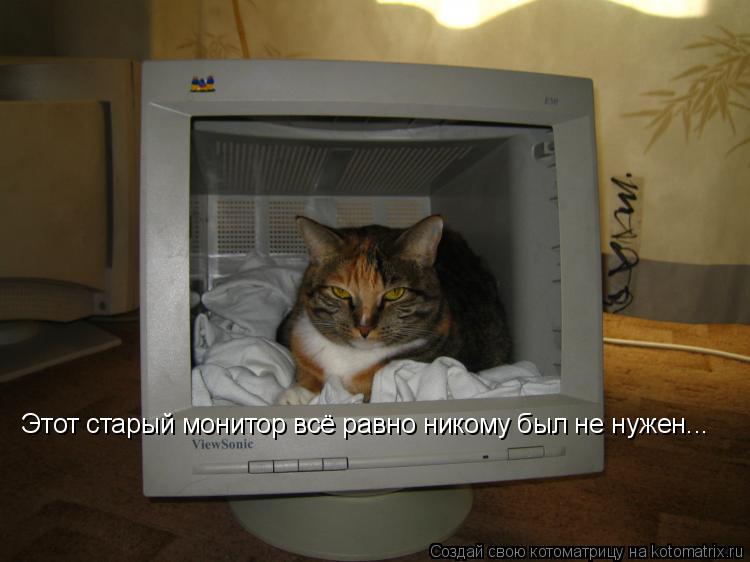 Котоматрица: Этот старый монитор всё равно никому был не нужен...