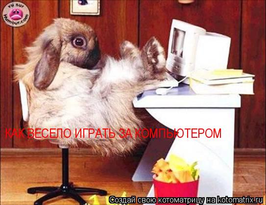 Котоматрица: КАК ВЕСЕЛО ИГРАТЬ ЗА КОМПЬЮТЕРОМ