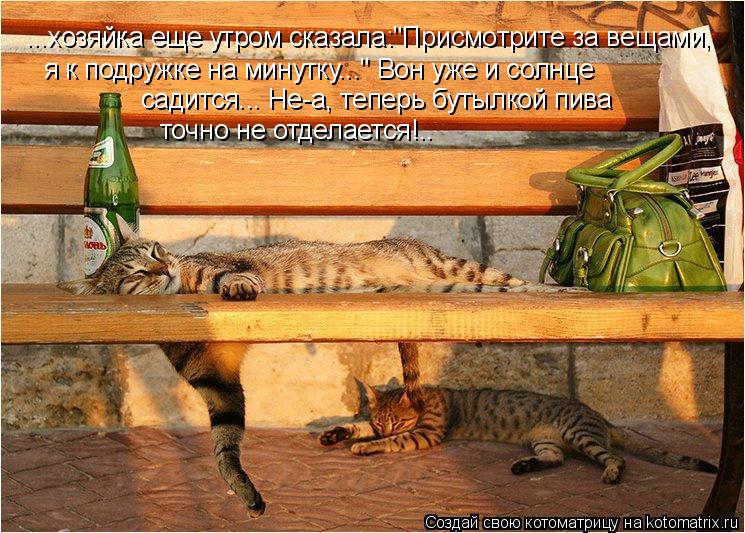 Котоматрица: ...хозяйка еще утром сказала:"Присмотрите за вещами, я к подружке на минутку..." Вон уже и солнце садится... Не-а, теперь бутылкой пива точно не о