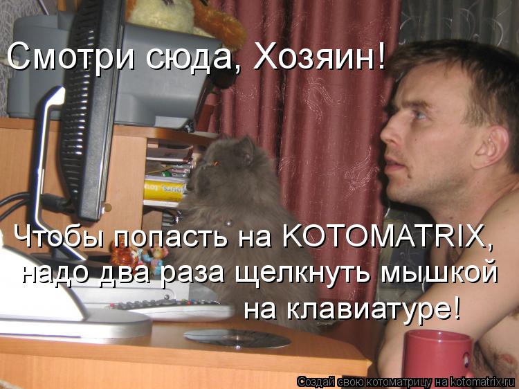 Котоматрица: Смотри сюда, Хозяин!  Чтобы попасть на KOTOMATRIX, надо два раза щелкнуть мышкой  на клавиатуре!