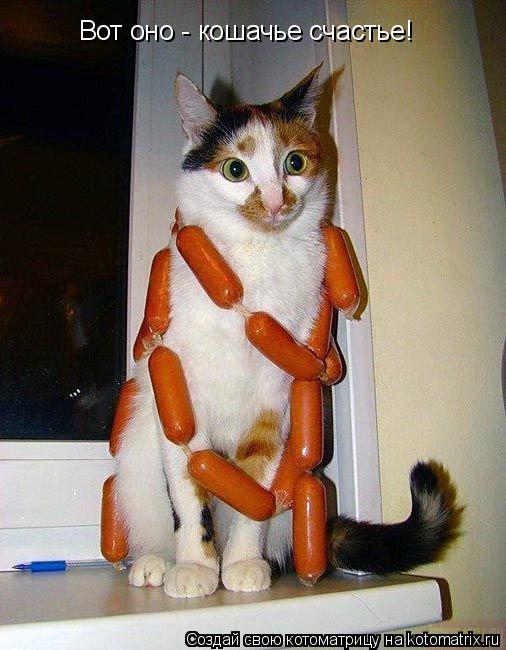 Котоматрица: Вот оно - кошачье счастье!
