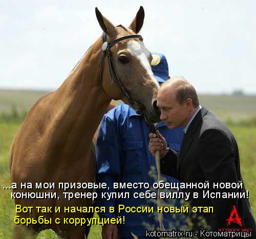 ...а на мои призовые, вместо обещанной новой конюшни, тренер купил себе виллу в Испании! Вот так и на... Котоматрица: ...а на мои призовые, вместо обещанной новой конюшни, тренер купил себе виллу в Испании! Вот так и начался в России новый этап борьбы с корруп