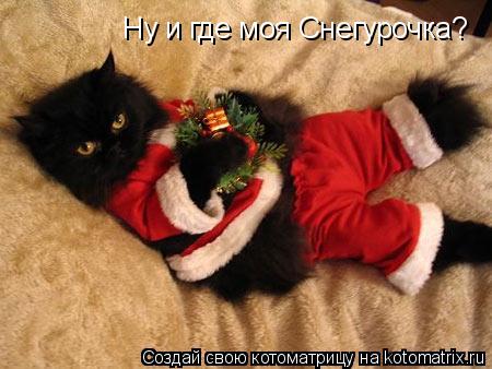 Котоматрица: Ну и где моя Снегурочка?