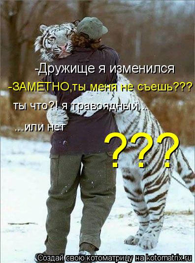 Котоматрица: -Дружище я изменился  -ЗАМЕТНО,ты меня не съешь??? ты что?! я травоядный... ...или нет ???