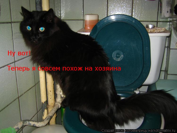 Котоматрица: Ну вот! Теперь я совсем похож на хозяина