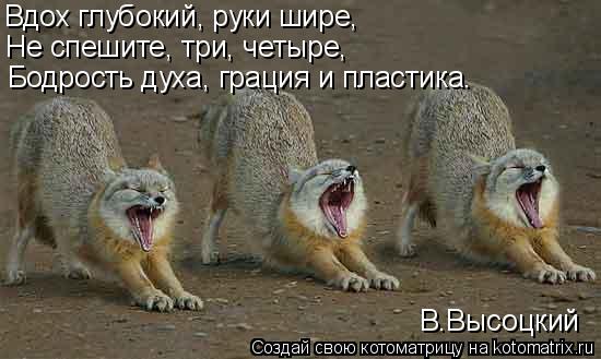 Вдох глубокий, руки шире, Не спешите, три, четыре, Бодрость духа, грация и пластика. В.Высоцкий... Котоматрица: Вдох глубокий, руки шире, Не спешите, три, четыре, Бодрость духа, грация и пластика. В.Высоцкий