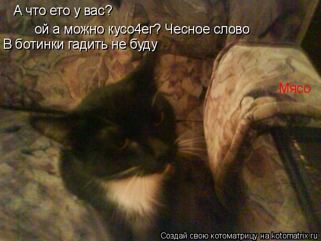 А что ето у вас? Мясо ой а можно кусо4ег? Чесное слово В ботинки гадить не буду... Котоматрица: А что ето у вас? Мясо ой а можно кусо4ег? Чесное слово В ботинки гадить не буду
