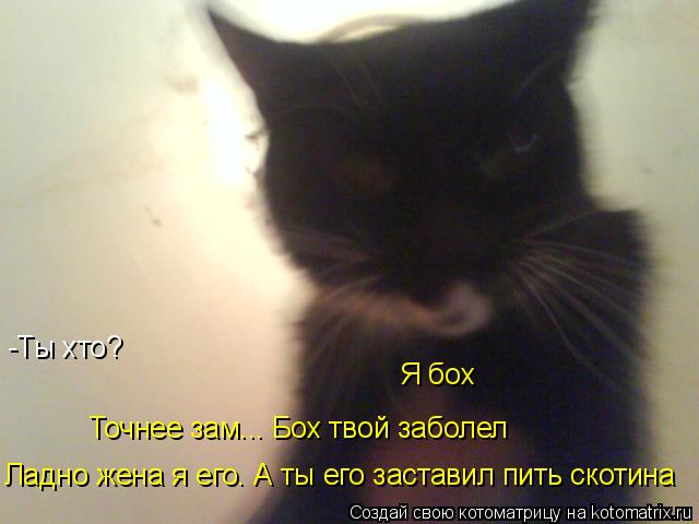 -Ты хто? Я бох Точнее зам... Бох твой заболел Ладно жена я его. А ты его заставил пить скотина... Котоматрица: -Ты хто? Я бох Точнее зам... Бох твой заболел Ладно жена я его. А ты его заставил пить скотина