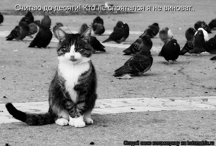 Котоматрица: Считаю до десяти! Кто не спрятался я не виноват..