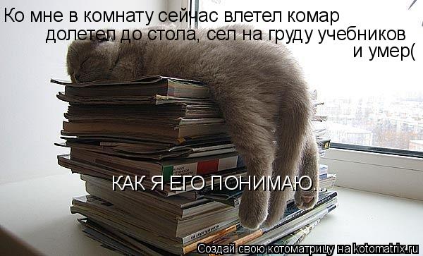 Котоматрица: Ко мне в комнату сейчас влетел комар долетел до стола, сел на груду учебников и умер( КАК Я ЕГО ПОНИМАЮ...