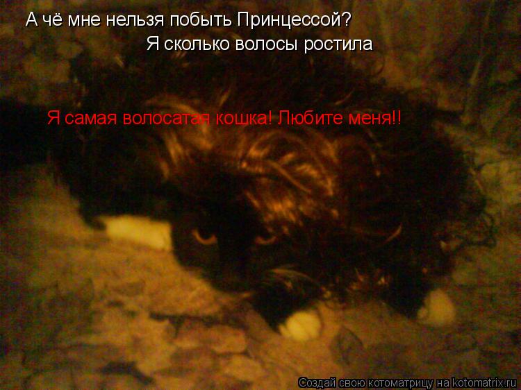 А чё мне нельзя побыть Принцессой? Я сколько волосы ростила Я самая волосатая кошка! Любите меня!!... Котоматрица: А чё мне нельзя побыть Принцессой? Я сколько волосы ростила Я самая волосатая кошка! Любите меня!!