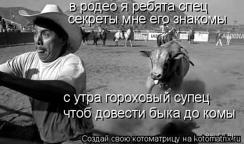 в родео я ребята спец секреты мне его знакомы чтоб довести быка до комы с утра гороховый супец... Котоматрица: в родео я ребята спец секреты мне его знакомы чтоб довести быка до комы с утра гороховый супец