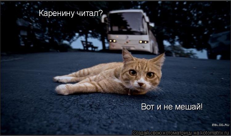 Каренину читал? Вот и не мешай!... Котоматрица: Каренину читал? Вот и не мешай!