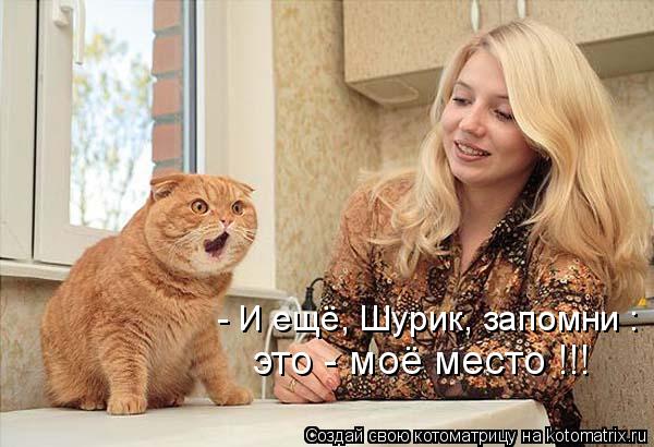 - И ещё, Шурик, запомни : это - моё место !!!... Котоматрица: - И ещё, Шурик, запомни : это - моё место !!!