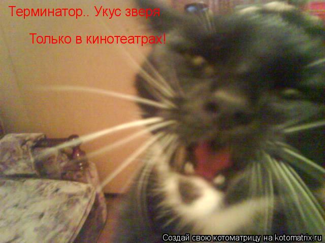 Терминатор.. Укус зверя Только в кинотеатрах!... Котоматрица: Терминатор.. Укус зверя Только в кинотеатрах!
