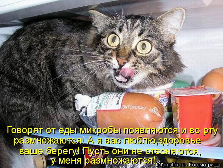 Котоматрица: Говорят от еды микробы появляются и во рту  размножаются! А я вас люблю,здоровье  ваше берегу! Пусть они не стесняются, у меня размножаются!...