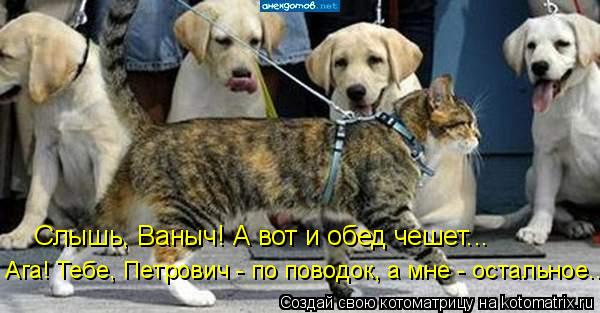 Котоматрица: Слышь, Ваныч! А вот и обед чешет... Ага! Тебе, Петрович - по поводок, а мне - остальное...