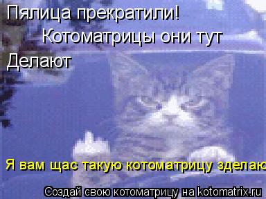 Пялица прекратили! Котоматрицы они тут Делают Я вам щас такую котоматрицу зделаю... Котоматрица: Пялица прекратили! Котоматрицы они тут Делают Я вам щас такую котоматрицу зделаю