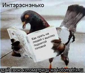 Котоматрица: Интэрэснэнько